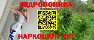 PSILOCYBIN Усть-Джегута