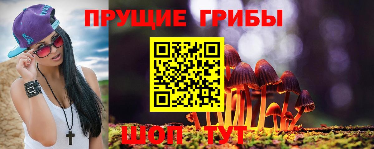 Сокол  Галлюциногенные грибы ЛСД  Вход с VPN 